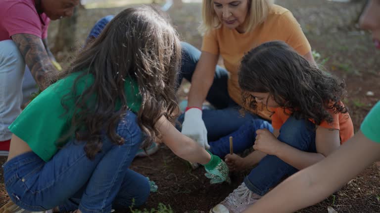  Roseville, CA Tree Care Services Pros